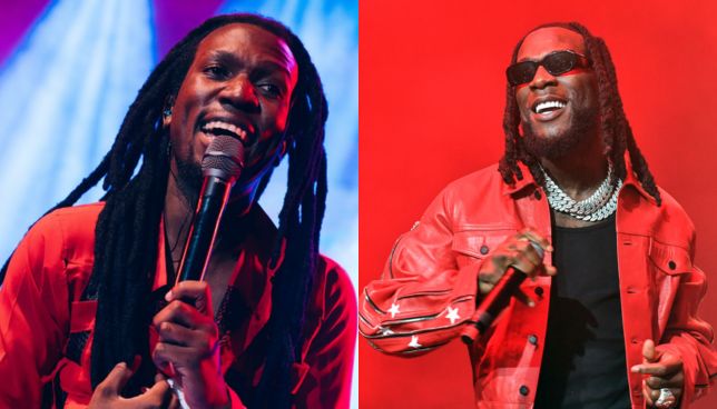List of things banned from the Burna Boy concert on March 1