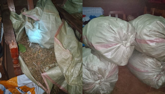 NACADA Declares War on Drug Traffickers, Seize Sh3M Cannabis in Trans Nzoia
