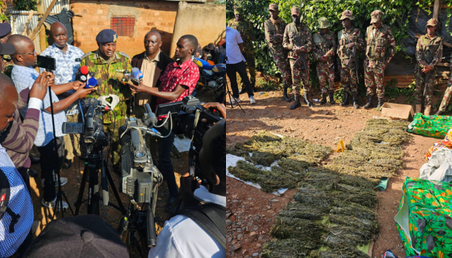 NACADA Seizes Sh2 Million Cannabis in Daring Kisii Raid, Arrests Drug Kingpin’s Wife