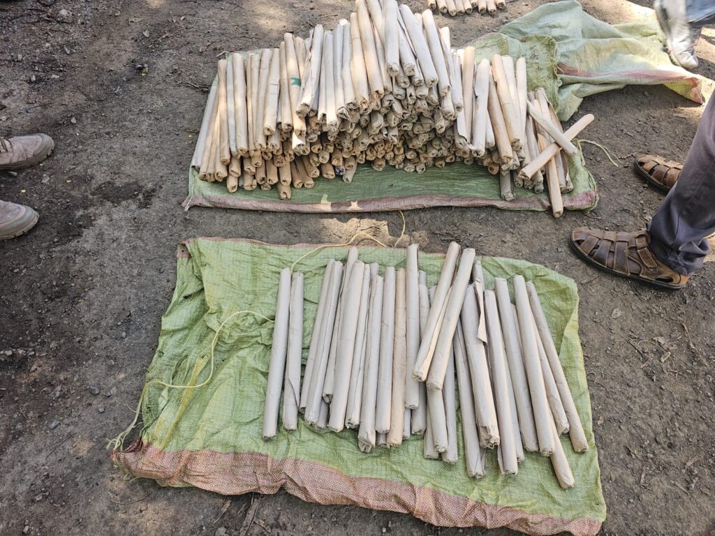 NACADA Re-Arrests Notorious Drug Kingpin, Seizes Bhang Worth Millions