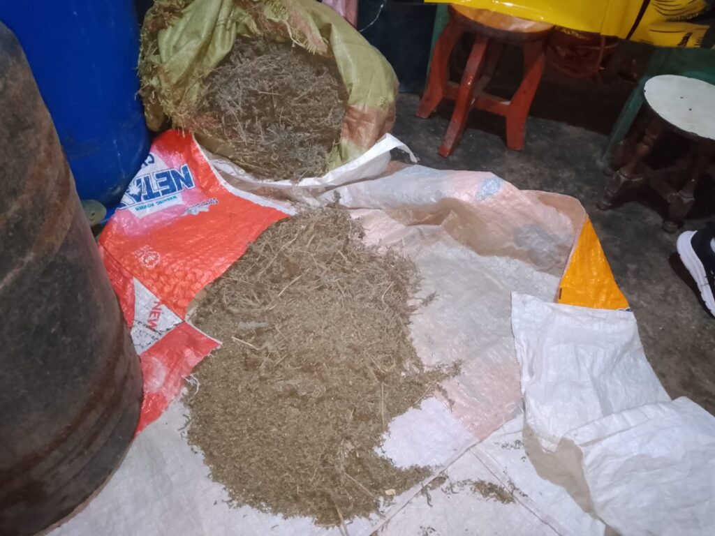 NACADA Arrests Notorious Cannabis Trafficker in Njoro, Uncovers Underground Bunkers Near Egerton University