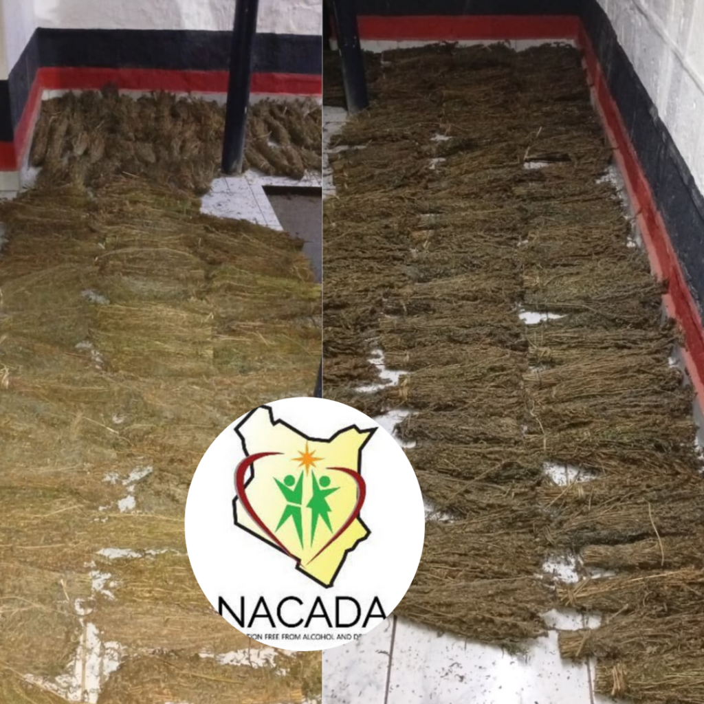 Molo Drug Bust: NACADA Seizes Sh1 Million Cannabis Stash After High-Speed Chase