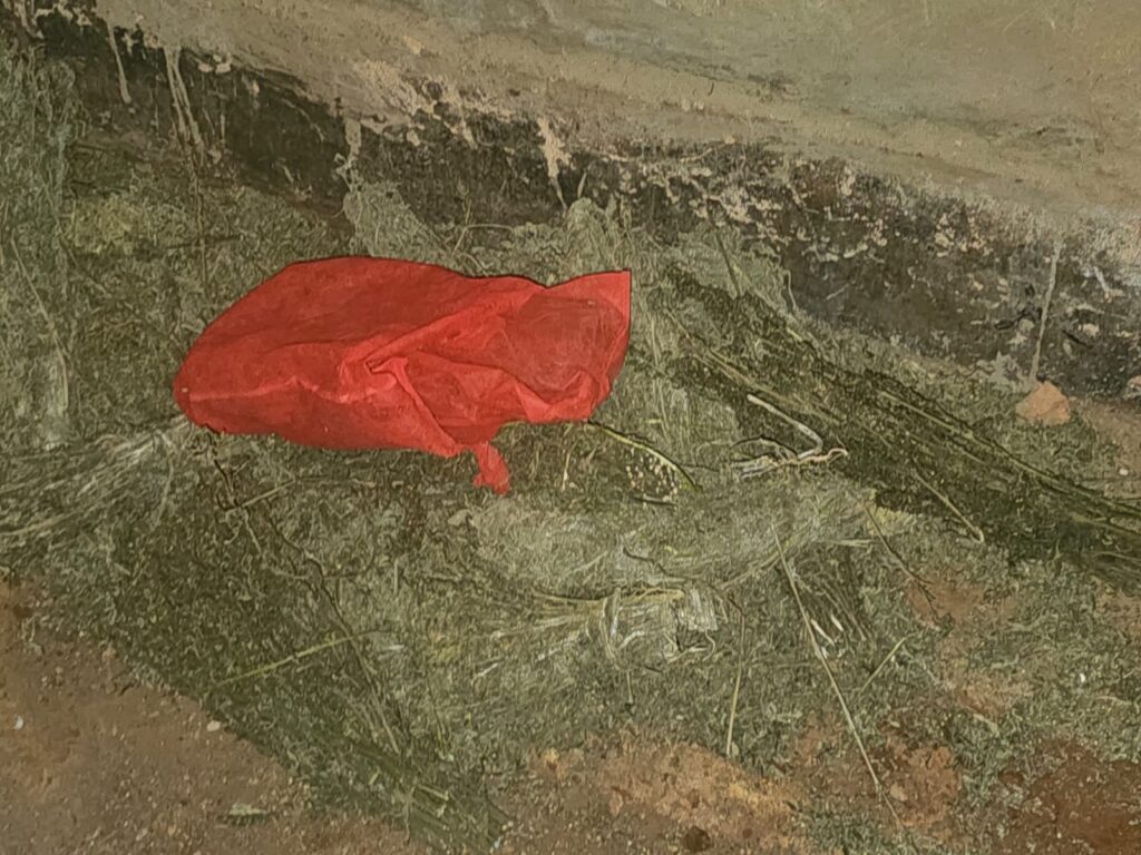 Cannabis Haul Recovered in Kisii as NACADA Launches Manhunt for Escaped Trafficker